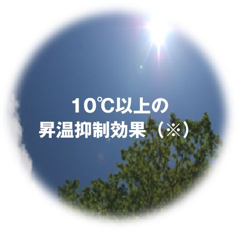 10℃以上の昇温抑制効果（※）